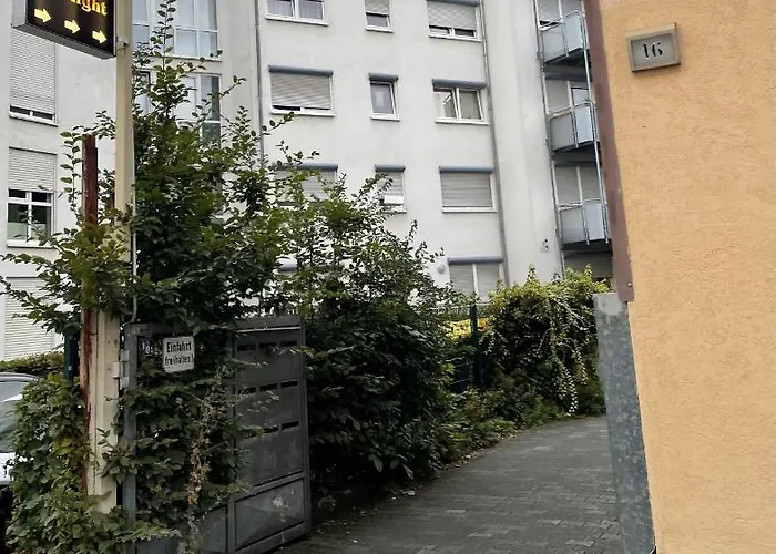 Starlight * פרנקפורט