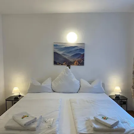 Starlight Hotel Frankfurt nad Mohanem